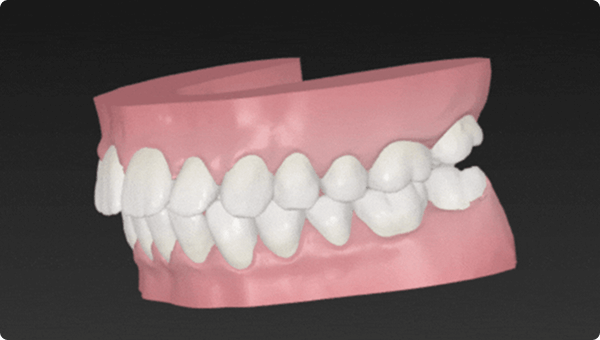 検査・シミュレーション